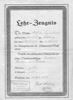Lehrzeugnis