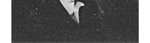 Arthur Meier